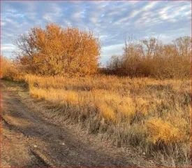 Земельный участок площадью 1 000 000 кв.м в Курганской области, Шадринский район, МО Краснонивинский сельсовет, в границах бывшего ЗАО НП "Совхоз Шадринский". Кадастровый номер: 45:20:051301:231. Категория земель: земли сельскохозяйственного назначения. Вид разрешенного использования: для…