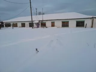 Здание детского сада Площадью 199,2 кв.м. Кадастровый номер: 66:623:0401001:646 Здание детского сада Площадью 431,2 кв.м. Кадастровый номер:66:23:0401001:645 Земельный участок Площадью 5035 кв.м. Категория земель: земли населенных               пунктов – дошкольное, начальное  и среднее общее…