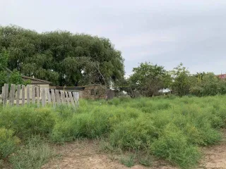 Земельный участок 300 кв.м. Астраханская область, кадастровый номер 30:02:020401:89, ВРИ – для ведения личного подсобного хозяйства, расположен по адресу: Астраханская область, Володарский район, с. Кошеванка, ул. Береговая, 40.