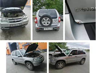 Chevrolet Niva 212300 55, VIN X9L212300D0490688, 2013 года выпуска, гос. номер М 818 АВ 186, цвет: светло серебристый металлик. Имущество находится в залоге у АО КБ Приобье.