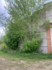 Нежилые здания, 2255,2 кв.м, Серебряные Пруды. Продажа нежилых зданий общей площадью 2 255,2 кв.м. в м.о. Серебряные Пруды. Кадастровый номер: 50:39:0020209:33. Общая площадь: 2255.2. Количество этажей: 1