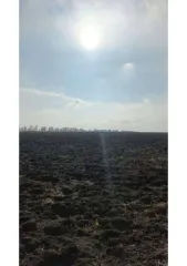 Земельный участок в Саратовской обл., 1200 кв.м. еще Земельный участок, площадь: 1 200кв.м., адрес  местонахождение : Саратовская область, Ивантеевский район, с. Ивантеевка, 930 м к северо западу от пересечения автодорог Ивантеевка   Ивановка и Саратов   Самара и 600 м к северо востоку от…