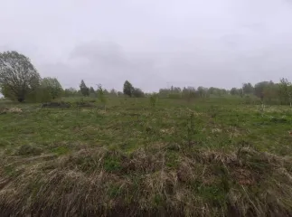 Земельный участок 1000 кв.м, Ярославская область, Переславский р-н, расположенный по адресу: Ярославская область, Переславский, с/о Веськовский, вблизи д. Большие Сокольники, кадастровый номер: 76:11:031502:2952