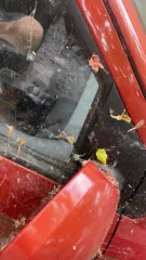 Hyundai Getz, г/н А818УО92, VIN KMHBT51DP8U822383. Автомобиль марки Хендэ Гетц, год выпуска не установлен, г/н А818УО92, в кузове красного цвета, VIN KMHBT51DP8U822383. Имущество продается в том виде, в каком оно есть, в случае продажи возврату/обмену не подлежит. За скрытые дефекты имущества…