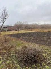 Земельный участок 321 кв.м, Оренбургская область, Сакмара. Адрес: Российская Федерация, Оренбургская область, м.р-н Сакмарский, с.п. Сакмарский сельсовет, с Сакмара, ул Северная, з/у 4а. Кадастровый номер: 56:25:1101008:303. Площадь: 321 кв. м. Вид разрешенного использования: для ведения личного…