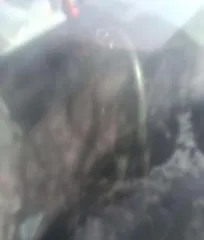 Часть земельного участка с к.н. 54:05:023601:818, расположенного по адресу: Новосибирская область, р-н Доволенский, АО ЗТ «Суздальское» площадью 616 балл/га и 50,2 га. Категория земель: Земли сельскохозяйственного назначения, разрешенное использование (ВРИ): для сельскохозяйственного производства…