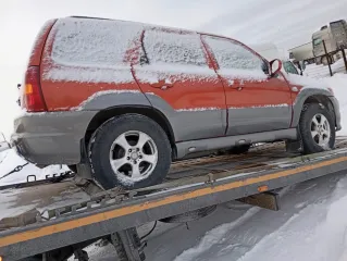 Mazda Tribute, 2005 автомобиль MAZDA TRIBUTE, 2005 года выпуска, № кузова ЕPW103732. Ознакомление с имуществом проводится в месте нахождения имущества (г. Новосибирск, ул. Аэропорт 2/3) по предварительной договоренности по телефону 89234965142, один раз в неделю. Заявки на ознакомление финансовому…