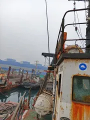 Рыболовное судно «Соколовка» (IMO 8924721) бортовой номер ВК0854 год постройки 1993, место постройки Сретенск.