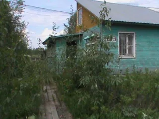 Нежилое помещение 66.9 кв.м с участком 758 кв.м, Вологодская обл., Тарногский округ, с кадастровым номером 35:08:0101003:840, общей площадью 66,9 кв.м с земельным участком, кадастровый номер 35:08:0101003:46, общей площадью 758 кв.м, категория земель – земли населенных пунктов, вид разрешенного…
