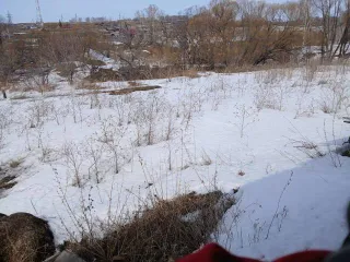 Доли дома 55 кв.м и участка 2691 кв.м, Сузунский район, с. Бобровка, Новосибирская обл. 1/7 доля дома и 1/7 доля земельного участка в Новосибирской обл. еще 1/7 доля дома и 1/7 доля земельного участка в Новосибирской обл. еще 1/7 доли в праве на земельный участок, общей площадью 2691 кв.м., с…
