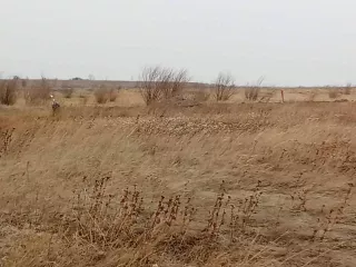 Земельный участок, кадастровый (условный) номер 75:32:040355:795, площадью 1000 к.в., Место нахождения: Россия, Забайкальский край, г. Чита, в районе ДНТ Кенон. Виды разрешенного использования: для размещения - дачного некоммерческого товарищества. Состояние: Удовлетворительное. Ограничения…