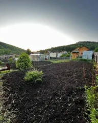 Дача 600 кв.м Красноярский край Земельный участок с постройкой Адрес Красноярский край Шарыповский район садоводческое общество Березка-1 участок № 74 Кадастровый номер 24:41:5400001:329 Площадь 600 кв.м Вид собственности совместная собственность