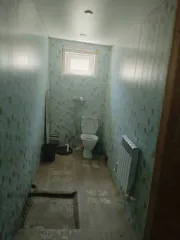 Жилой дом 75,4 кв.м. и земельный участок 3984 кв.м. в Орловской области, Ливенский район, с/п Речицкое, с Теличье, ул. Дружбы Народов, д.13. Жилой дом, кадастровый номер: 57:22:0780102:154. Земельный участок, кадастровый номер: 57:22:0780103:4.