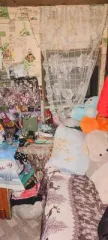 Здание жилое в собственности, (31.9 кв.м.). Расположенное по адресу: Ростовская обл., Усть-Донецкий р-н, х. Бородино, ул. Балочная, д. 16 и 
Земельный участок (для ведения личного подсобного хозяйства) в собственности,(3000 кв.м.);  Расположенный по адресу: Ростовская обл., Усть-Донецкий р-н, х…