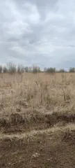 Земельный участок площадью 700 кв.м. Кадастровый номер: 50:23:0050573:1520. Категория земель: земли сельскохозяйственного назначения. Виды разрешенного использования: ведение садоводства. Местоположение: Российская Федерация, Московская область, городской округ Раменский, деревня Аргуново.