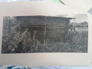 Сруб изготовленный  из деревьев породы  сосна Сруб изготовленный  из деревьев породы  сосна размером 5*6  метров, состоит из  четырех стен, каждая  стена из 12 бревен 
