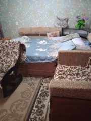 Продается 1/4 доля квартиры, назначение: жилое, площадь: 38,8 кв.м., номер, тип этажа: 2 этаж, кадастровый номер: 61:21:0600021:568, адрес (местоположение): Ростовская обл., р-н Матвеево-Курганский, п. Красный Бумажник, ул. Заречная, д. 2, кв. 15