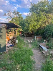 Жилой дом 54,9 кв. м и участок 879 кв. м, ст-ца Каневская, Краснодарский край. Объект № 1 - жилой дом, площадью 54,9 кв.м, КН 23:11:0603184:144, 1 этаж, расположенный по адресу: Краснодарский край, Каневской р-н, ст-ца Каневская, ул. Советская, д. 13, принадлежащий должнику на праве собственности…
