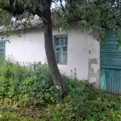 Квартира 38 кв.м., Курская область, г. Льгов. Жилое помещение, назначение: жилое, общей площадью 38 кв.м., кадастровый номер 46:32:010103:5666, расположенное по адресу: Российская Федерация, Курская область, г. Льгов, ул. Литейная, д. 40, кв. 1. Вид жилого помещения: квартира.