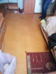 Жилое помещение (комната), площадь: 16.6 кв.м. Кадастровый номер 35:21:0401003:1959
Расположенная по адресу: Вологодская область, г. Череповец, ул. Сталеваров, д.80, кв. 31, ком. 244, 
Является предметом залога, залогодержатель - ПАО «Северсталь», 
Договор купли-продажи комнаты с рассрочкой…