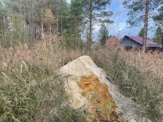 Земельный участок для садоводства площадью 1000 кв.м., кад. № 12:04:0261101:477, расположенный по адресу: РМЭ, Медведевский район, Кундышское сельское поселение, СНТ Лесная сказка, квартал 26, участок 3, Земельный участок для садоводства площадью 1000 кв.м., кад. № 12:04:0261101:477, расположенный…