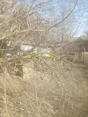 Здание разрушенное и 3/8 доли на участок 6052 кв.м, Ростовская область. 9/16 на здание (здание разрушено, находится в ветхо-аварийном состоянии (разрушено), рыночной стоимости в соответствии со ст.3 № 135 ФЗ не имеет, оказывает влияние на итоговую стоимость земельного участка), кадастровый номер…