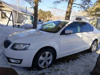 SKODA OCTAVIA, 2014 года выпуска, VIN XW8AC6NE2EH021495