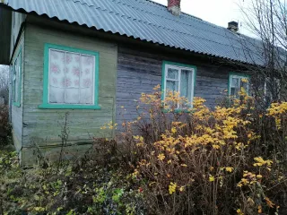 1/4 доли жилого помещения, 18.5 кв.м, д. Волкова, Вологодская область. 1/4 в праве общей долевой собственности на жилое помещение с кадастровым номером 35:02:0309009:262, расположенное в деревянном одноэтажном доме по адресу: Вологодская область, р-н Бабаевский, д Волкова, д 20, кв 2.
