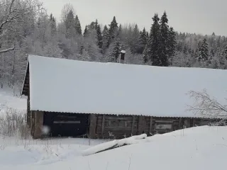Свинарник 187.6 кв.м Новгородская область Свинарник, расположенный по адресу: Российская Федерация, Новгородская область, муниципальный округ Маловишерский, деревня Лука, улица Кленовая, здание 29, общей площадью 187,6 кв.м, с кадастровым номером 53:08:0114301:130, вид объекта: здание, назначение…