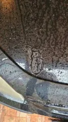 Hyundai Getz GLS 1.3 2004 года, VIN KMHBU51HP4U239913.