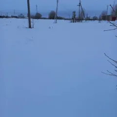 Земельный участок 3283 кв.м, кадастровый номер: 35:23:0202013:138, для ведения личного подсобного хозяйства, площадь 3283 +/- 20, местоположение Вологодская область, Чаромский р-н Шекснинский, сельсовет, с. Чаромское, общая долевая собственность, 1\2 доля в праве, дата и номер государственной…