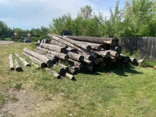 Сосна, 77 бревен, 39.6 м³. Красноярский край, село Краснотуранское. 58 бревен породы сосна длиной 6 м (32.2 м³), 19 бревен породы сосна длиной 4 м (7.4 м³). Срублен предположительно конец 2022 года - начало 2023 года. Хранился на открытой площадке, почернел, кора отслаивается. На данный момент…
