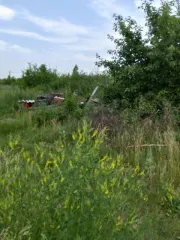 Земельный участок 429 кв.м, назначение: земли населенных пунктов, адрес: Россия, Омская область, город Омск, Советский административный округ, микрорайон Береговой, улица Березовая роща, кадастровый номер: 55:36:010103:178, вид собственности: индивидуальная.