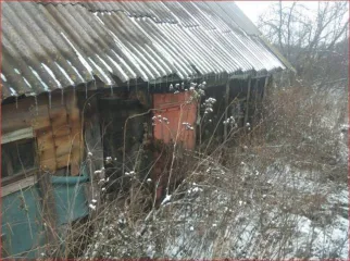 Дом 69,7 кв.м. и участок 4100 кв.м., Пензенская область. Жилое здание, площадь: 69,7кв.м., кадастровый номер: 58:08:0600401:162 и земельный участок, площадь: 4 100кв.м., категория земель: Земли населенных пунктов, разрешенное использование: Для ведения личного подсобного хозяйства, кадастровый…