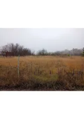Земельный участок площадью 856 кв.м, Воронежская область, Борисоглебский городской округ, СНТ "Кристалл", уч №107. Категория земель: земли населенных пунктов, разрешенное использование: для садоводства, кадастровый номер: 36:04:2306001:370.