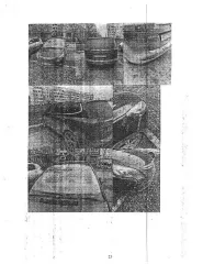 Opel Zafira Tourer 2013 года выпуска, VIN XWFPE9DC1D0004047. Мощность двигателя 140 л.с., объём 1362 см³, коробка передач – АКПП, привод – задний, цвет кузова коричневый. Сведениями о техническом состоянии транспортного средства организатор торгов не располагает. Регистрационные документы у…