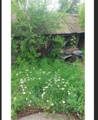 Продается 1/2 дома 30.8 кв.м и 1/2 участка 5020 кв.м в Приморском крае. Жилое помещение, адрес: Россия, Приморский край, Хорольский район, село Хороль, улица Комсомольская, дом 107, кадастровый номер: 25:21:160105:457. Земельный участок, адрес: Россия, Приморский край, Хорольский район, село…