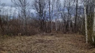 Земельный участок площадью 1500 кв. м, кадастровый номер 79:04:3700022:34,  местонахождение установлено относительно ориентира, расположенного в границах участка. Почтовый адрес ориентира:  Еврейская автономная обл., Биробиджанский р-н, с. Раздольное, ул. Вишневая, д. 9. Земельный участок площадью…