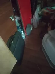 Земельный участок, площадь 286 кв.м, кадастровый (условный) номер: 50:20:0090427:1692 и 
Нежилое здание кадастровый (условный) номер 50:20:0090427:2039, площадь 11.9 кв.м.