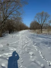 Земельный участок, площадь 1004+/11 кв.м., кадастровый (условный) номер: 27:17:0300701:882
Адрес (местонахождение): Россия, край Хабаровский, р-н Хабаровский, с Галкино, кв-л Дружный, дом 25