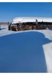 1/4 доли дома и участка, Новосибирская обл., Черепановский р-н. Жилой дом с кадастровым номером: 54:28:043201:66, расположенный по адресу: обл. Новосибирская, р-н Черепановский, п. Запрудный, ул. Советская, д. 24. Площадь 55. Земельный участок с кадастровым номером: 54:28:043201:51, расположенный…