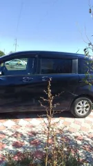 Honda Freed 2009. Автомобиль марки HONDA модель FREED 2009 г.в. номер кузова GB31136975. Ознакомление с имуществом производится с момента публикации сообщения о продаже имущества и до окончания приема заявок по предварительной записи по телефону: 8-918-410-11-45 или направив запрос на эл. почту…
