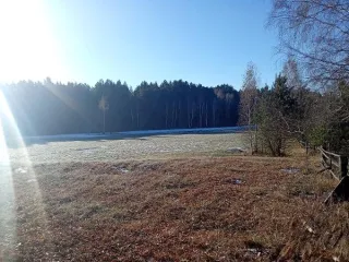 Помещение 35.6 м², Иркутская область, Зиминский район, с.Зулумай, ул.Лесная, пом.1А-2. Кадастровый номер 38:05:030603:57.