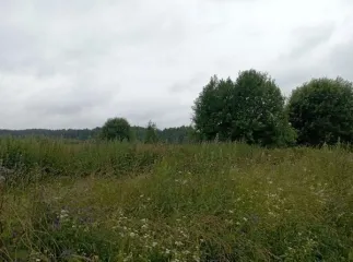 Земельный участок, площадь 1500, КН 50:18:0050205:450, Московская область. Площадь земельного участка: 1500. Кадастровый номер земельного участка: 50:18:0050205:450. Основной вид разрешенного использования: 2.2