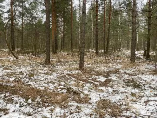 Земельный участок, расположенный по адресу: Российская Федерация, Владимирская область, г.о. Гусь-Хрустальный, город Гусь-Хрустальный, улица Стеклозаводская, ор.площадь 1510 кв.м Земельный участок, расположенный по адресу: Российская Федерация, Владимирская область, г.о. Гусь-Хрустальный, город…