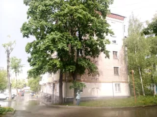 Продажа имущества, находящегося в собственности города Москвы, нежилое помещение по адресу: г. Москва, пер. Алымов, д. 17, корп. 2, пом. 2П,  общей площадью 30,3 кв. м. (Подвал №0), кадастровый номер:77:03:0001004:6422 Продажа имущества, находящегося в собственности города Москвы, нежилое помещение…