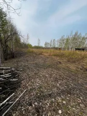Земельный участок 1000 кв.м, Хабаровский край, расположенный по адресу: Хабаровский край, р-н Хабаровский, категория земель - земли сельскохозяйственного назначения, вид разрешенного использования - для ведения дачного хозяйства и организации застройки дачного некоммерческого товарищества, площадь…