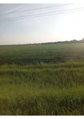 Земельный участок 7 828 095 кв.м Курганская обл 4/293 доля в праве на земельный участок, площадь: 7 828 095 кв.м., адрес (местонахождение): Курганская обл, р-н Юргамышский, в границах земель ТОО "Авангард", в южной части кадастрового района, категория земель: Земли сельскохозяйственного назначения…