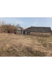 Земельный участок 4000 кв.м в Тамбовской области, муниципальный округ Гавриловский, село Пересыпкино 1-е, улица Чкалова, земельный участок 12. Категория земель: земли населенных пунктов, разрешенное использование: для ведения личного подсобного хозяйства. Кадастровый номер: 68:02:0801012:208.