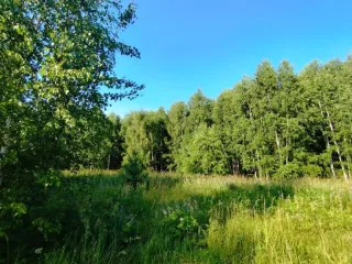 Земельный участок, 495300 кв.м, Нижегородская область, Сокольский район Имущество АО «КАПИТАЛ АСИСТАНС»: земельный участок, кадастровый номер 52:07:0800006:1592, 495300 кв.м. Земельный участок для индивидуального жилищного строительства, земли населенных пунктов, кадастровый номер…